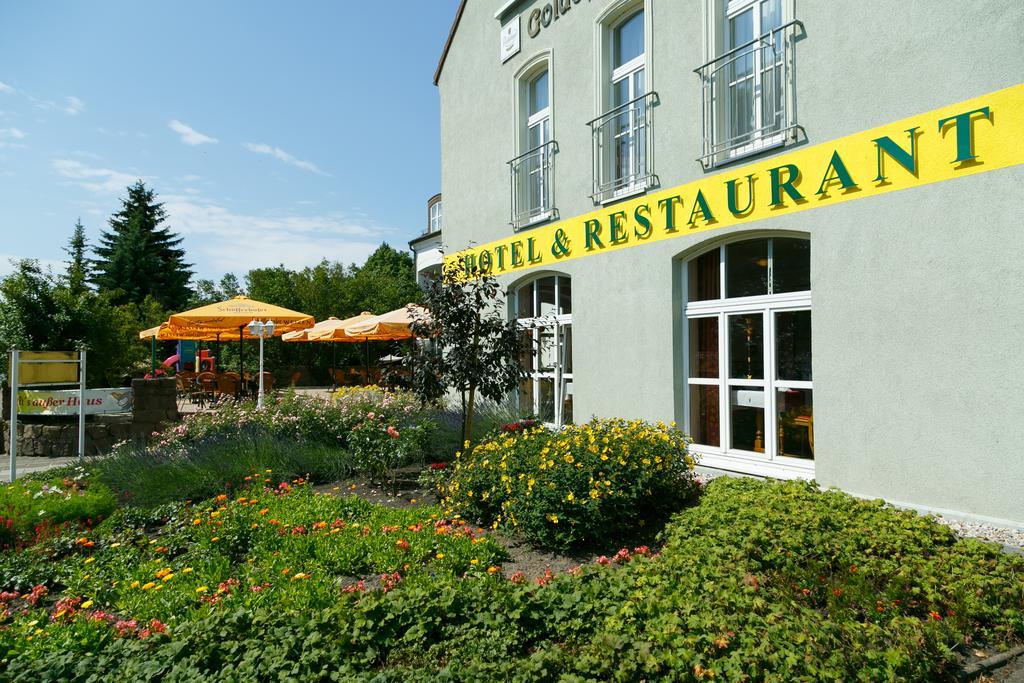 Hotel Goldener Fasan Oranienbaum-Woerlitz Exteriér fotografie