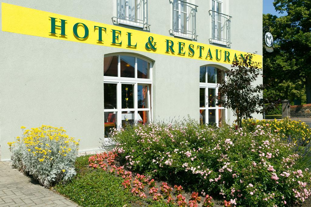 Hotel Goldener Fasan Oranienbaum-Woerlitz Exteriér fotografie