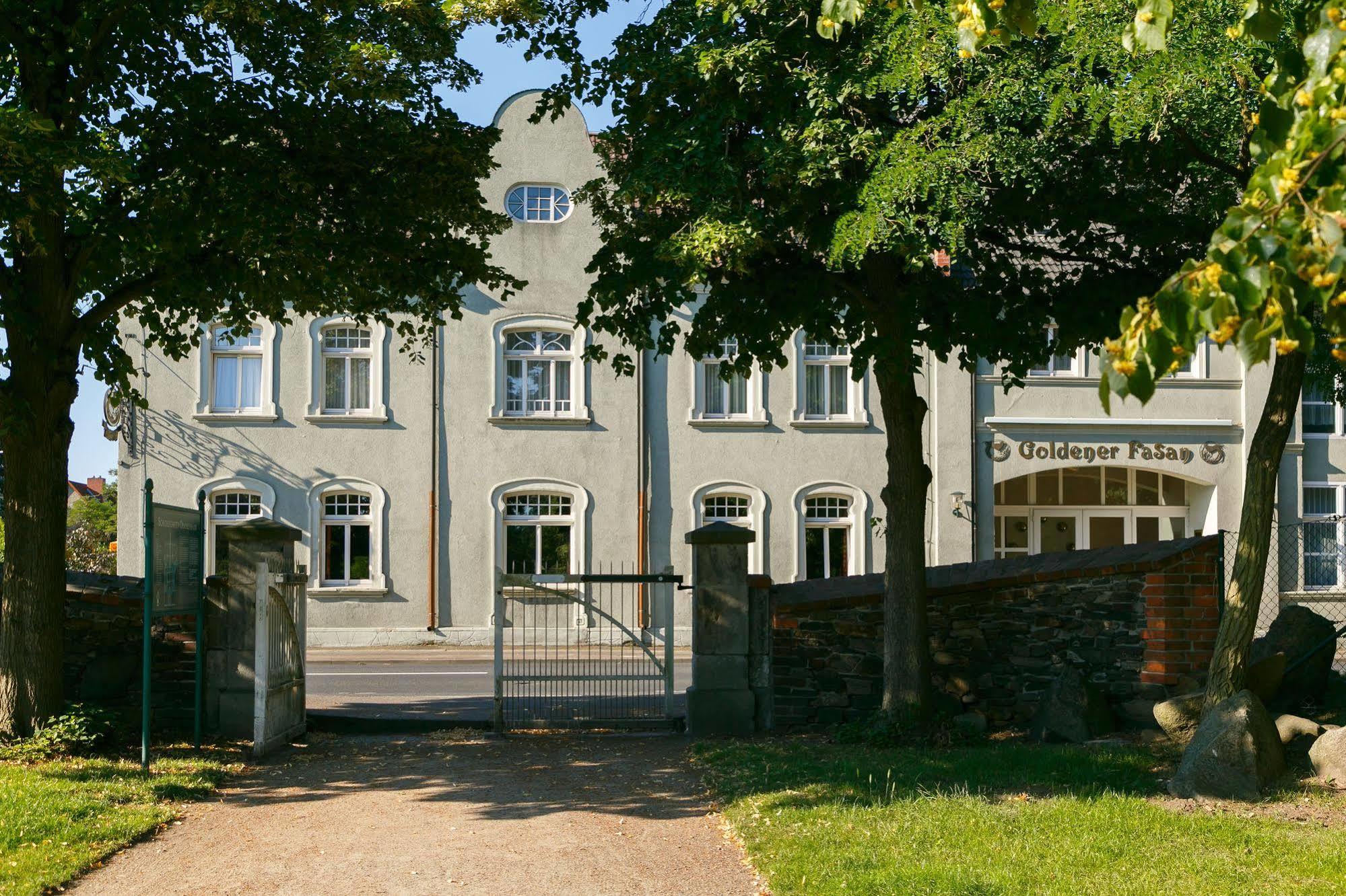 Hotel Goldener Fasan Oranienbaum-Woerlitz Exteriér fotografie