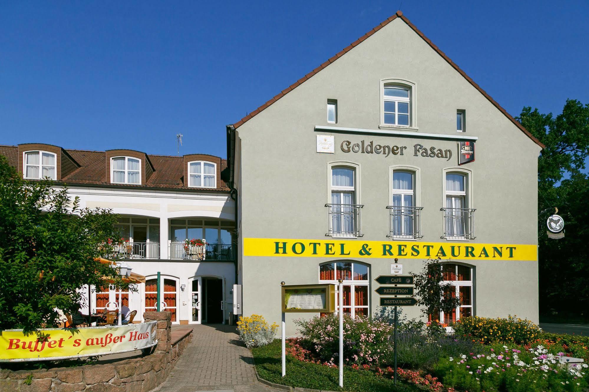 Hotel Goldener Fasan Oranienbaum-Woerlitz Exteriér fotografie